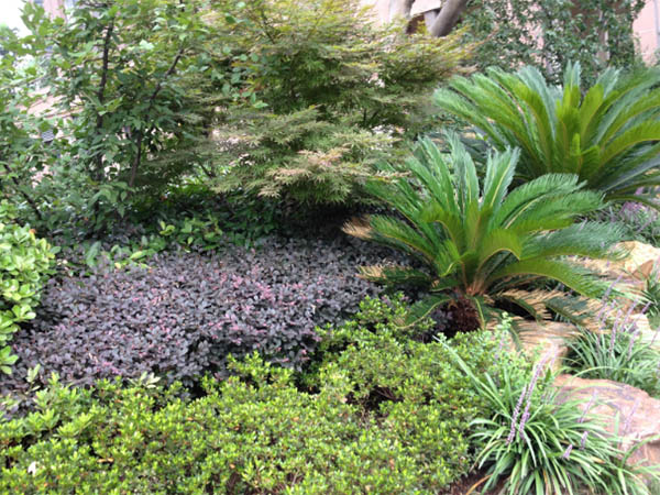 asiagame的愿景与理念